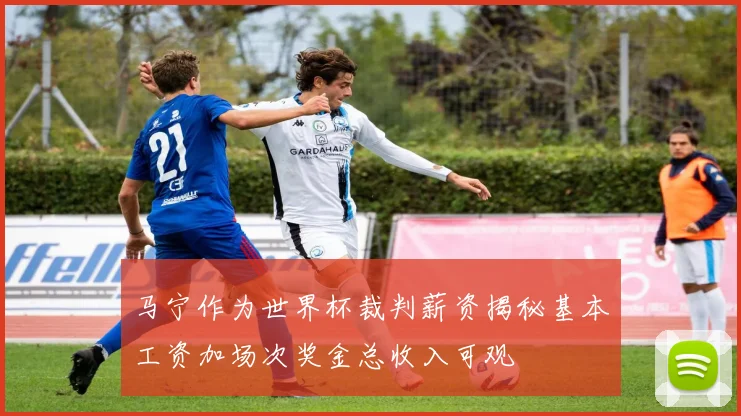 马宁作为世界杯裁判薪资揭秘基本工资加场次奖金总收入可观